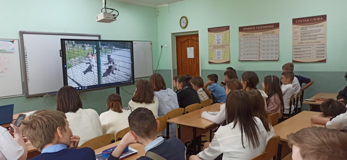 «Урок добра» для школьников из Приморья