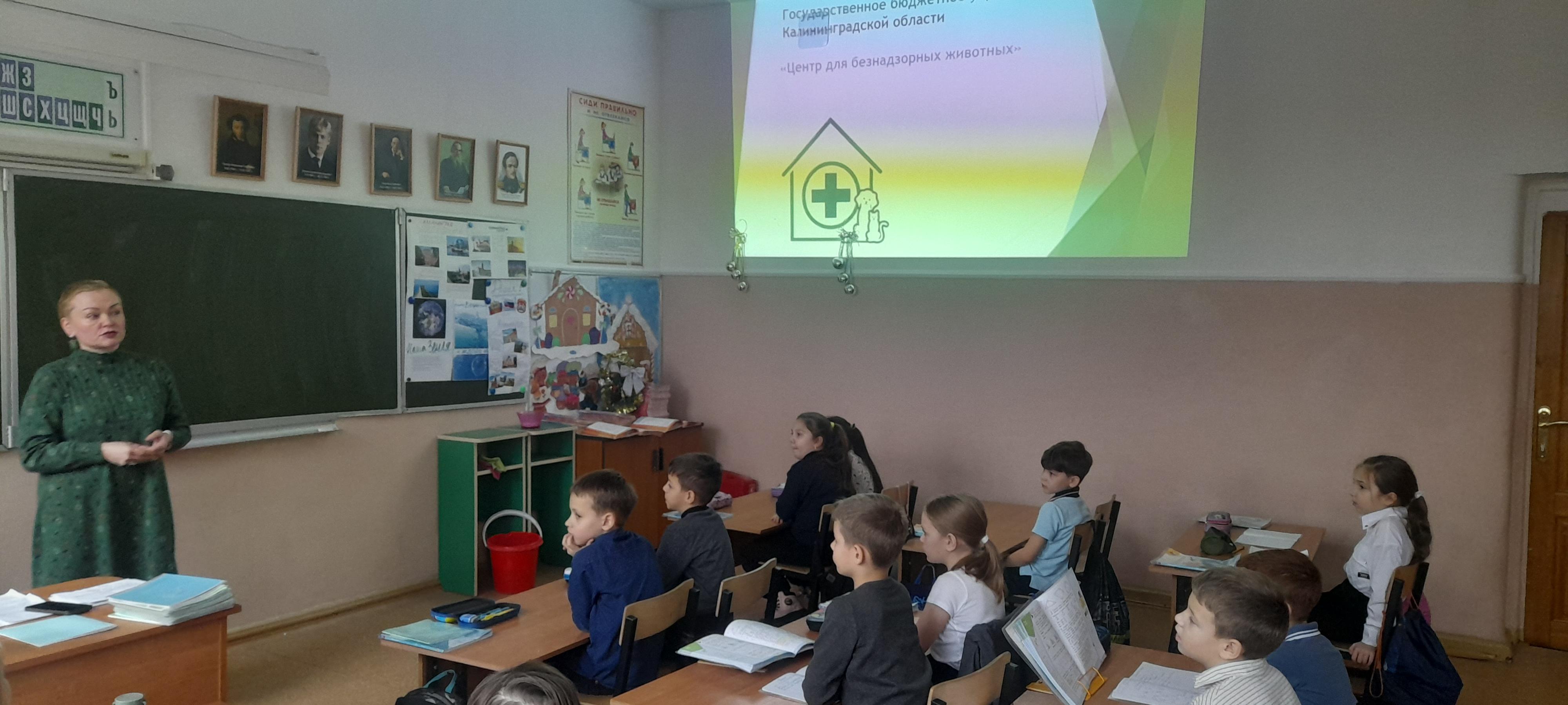 Продолжаются уроки добра и безопасности в Калининградской школе №13